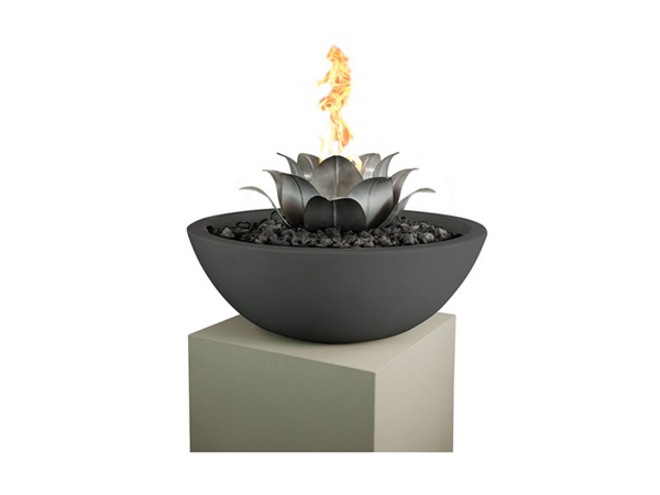 The Outdoor Plus Lotus Flower